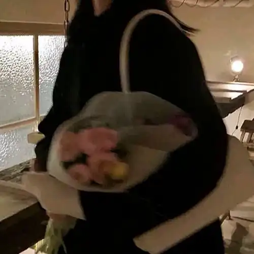 第890期|女生头像:0111温柔ins鲜花捧花女生头像