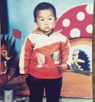 郭振似杨康,电视点评一针见血_儿子_父母_刘德华