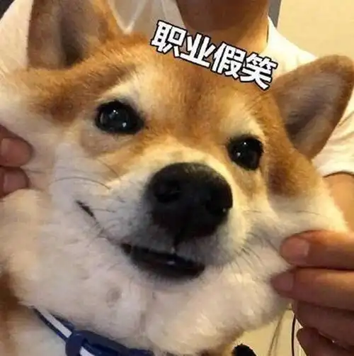 柴犬职业假笑表情包-职业假笑柴犬表情包高清图片下载_懒人图库