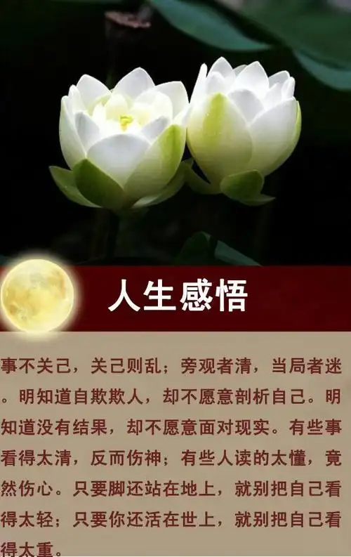 不惹事,不多事,看好自己的门,走好自己的路,做好自己的事「句句精辟」