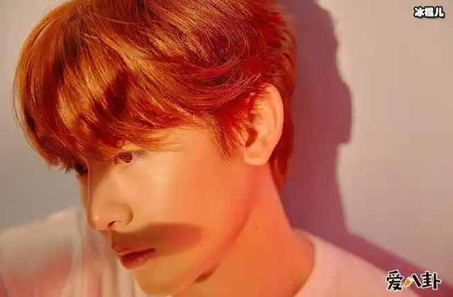 nichkhun和tiffany恋情是真的吗网络上有传尼坤和黄美英两人是情侣