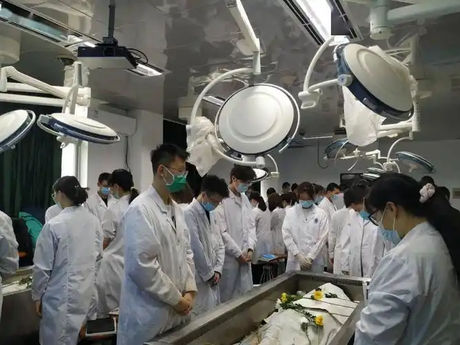 基础·特刊 | 北京大学基础医学院"感恩无言良师,牢记医者使命"清明