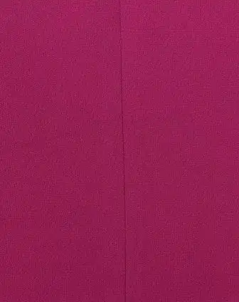 玫红色长袖修身暗扣西装