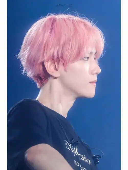 边伯贤  #exo  #exo边伯贤  #exo壁纸  #beakhyun粉头啵啵虎真的好
