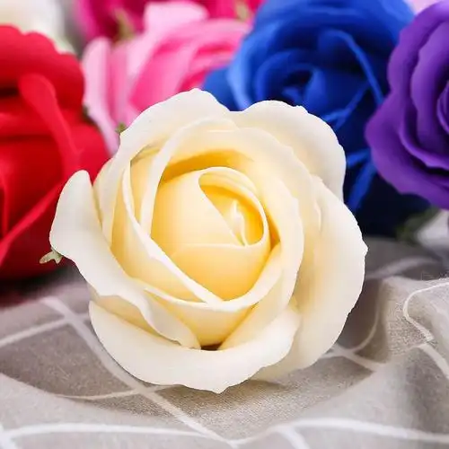 枚红色玫瑰花图片