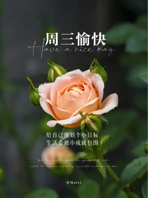 周三早安日签早安治愈文案合集周三快乐