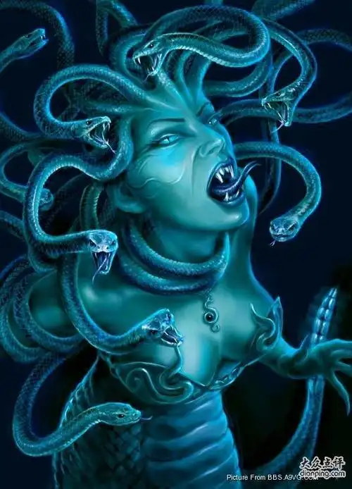 蛇-花瓣网|陪你做生活的设计师 | 蛇女的搜索结果_百度图片搜索