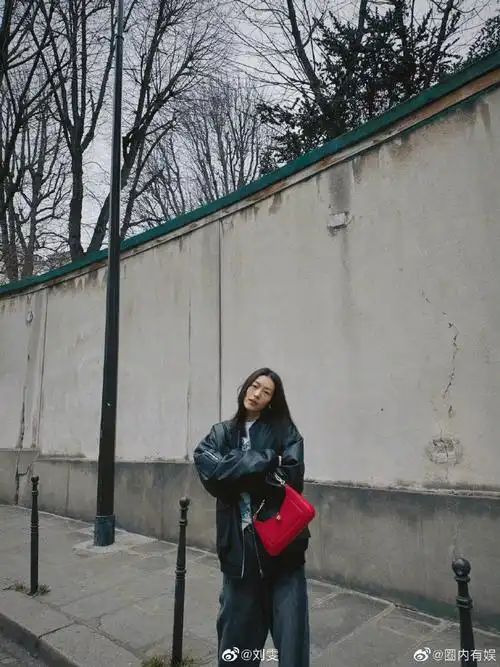 刘雯街拍造型##刘雯玫红色包包