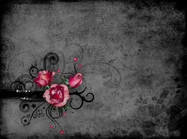 12,5 第五步,切换至个性主题页面,然后找到喜欢的主题,点击下载并进行