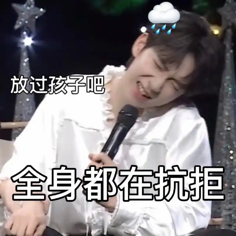 贺峻霖表情包(16)