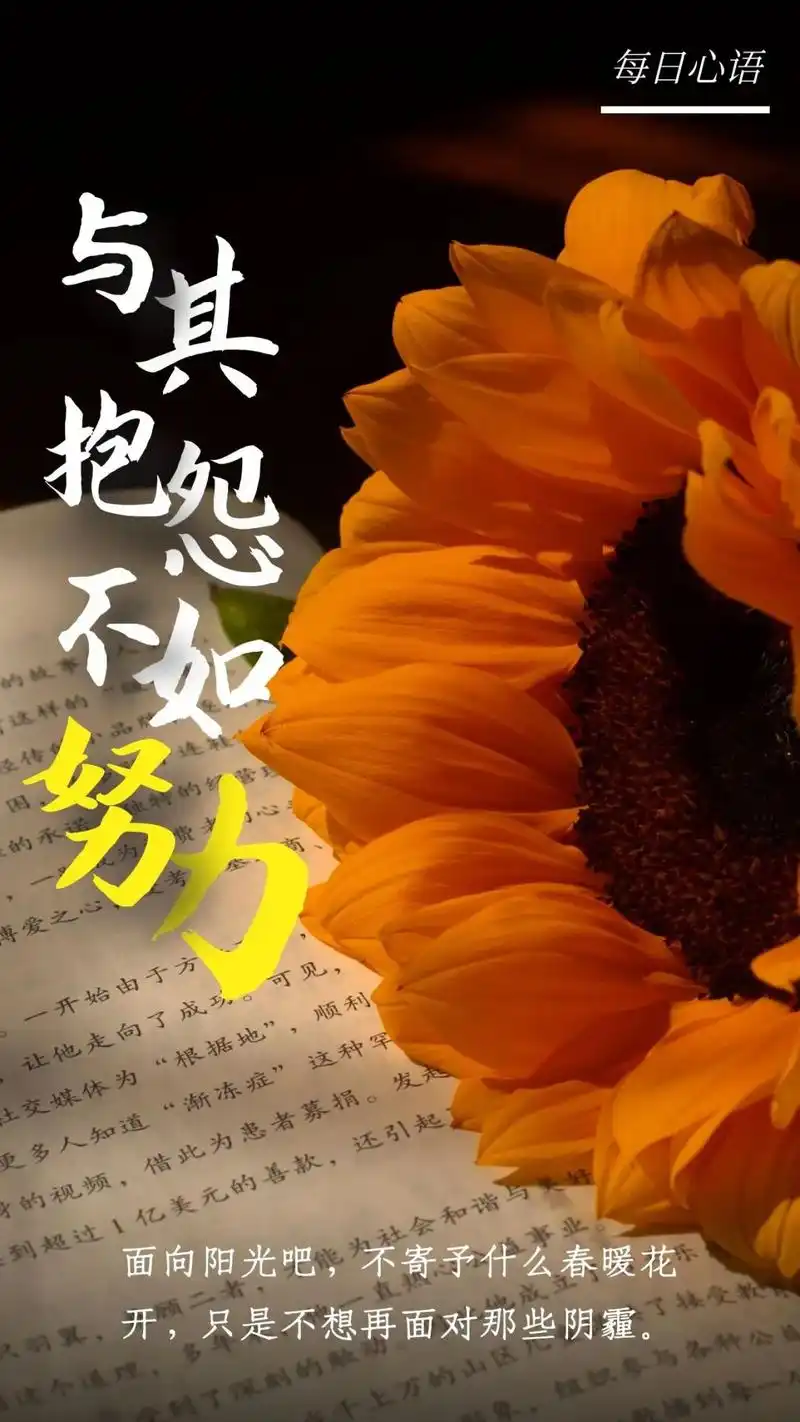 让自己变坚强的句子,暖心励志,看一眼便想摘抄下来