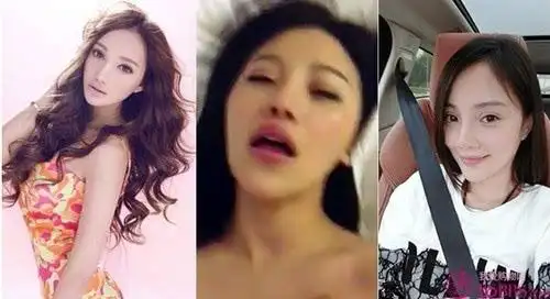 山寨李小璐巴黎蹭红毯整容部位与本尊神似