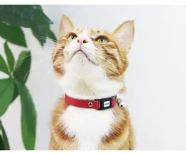 猫咪项圈猫脖圈颈圈猫铃铛安全扣手工牛皮猫项圈深蓝色ss脖围1520cm