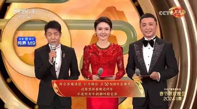 谁最成功?|刘谦|央视春晚|春节联欢晚会|春晚主持人阵容_网易订阅