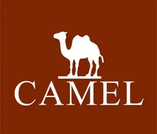 骆驼休闲鞋开盛购物中心店