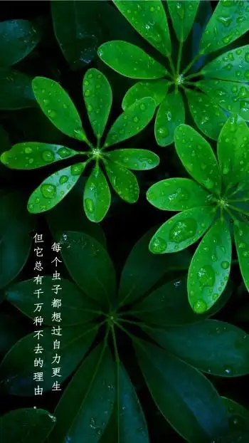 绿色植物励志简约聊天背景图