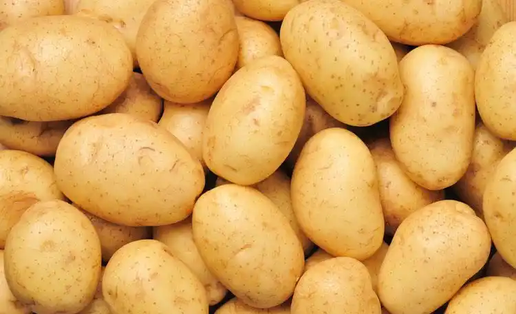 陕西陕北清涧土豆马铃薯洋芋宽粉细粉水晶手擀粉条特产批发包邮