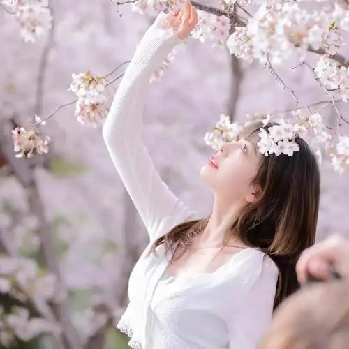 樱花树下的美女头像,图片,女生头像-qq个性网