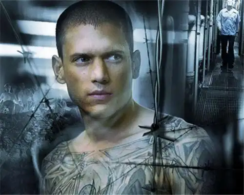 图越狱第一季剧情介绍曾点燃中国美剧之火