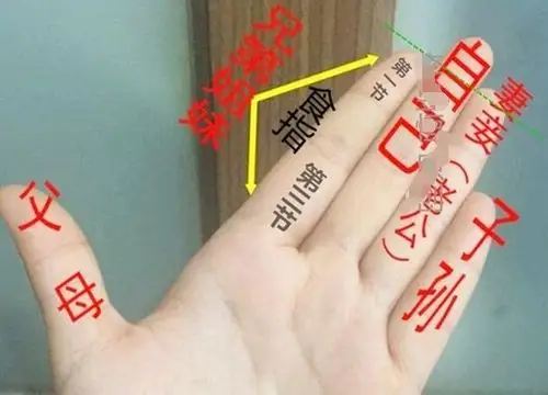 五指|无名指|中指_新浪新闻