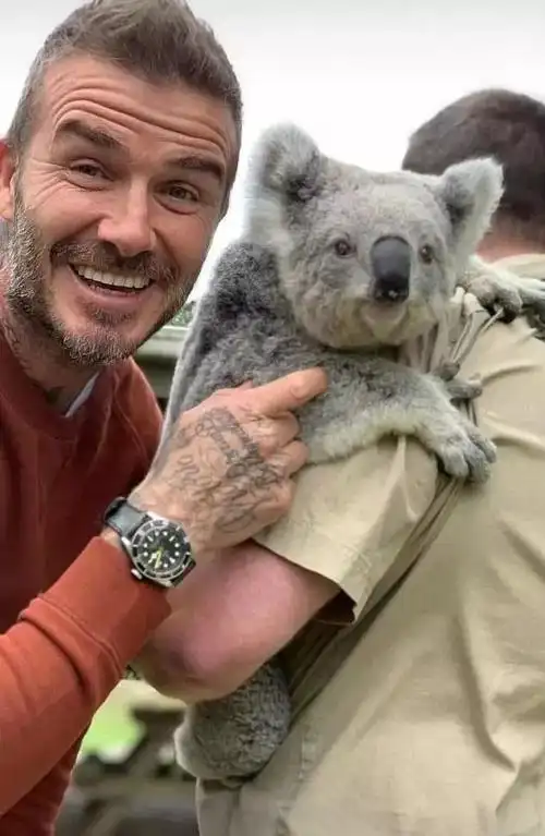 澳大利亚人会进化出育儿袋吗?