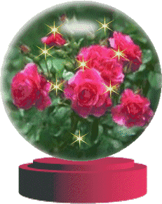 231_291gif 动态图 动图