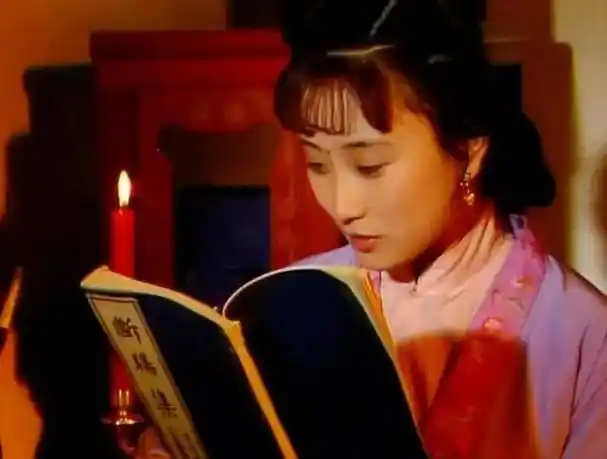 再读红楼梦放眼大观园这才是真正的读书种子