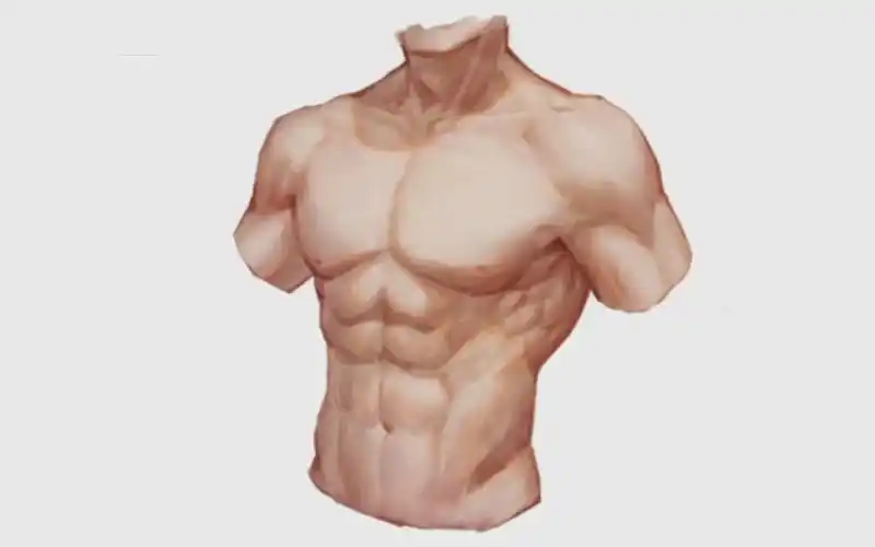 "吸口水"这男性人体肌肉,看的我口水直流呀