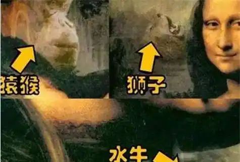 你把她倒过来看,就不会这么认为了_在研究_达芬奇_法国