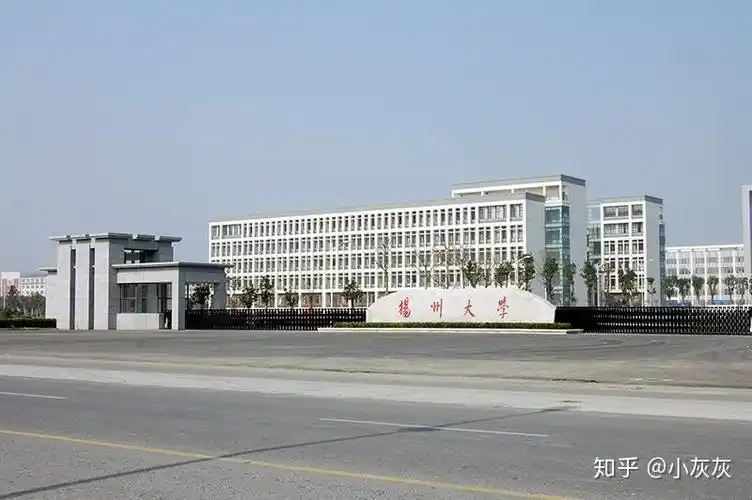 22届扬大小教第七章知识点梳理