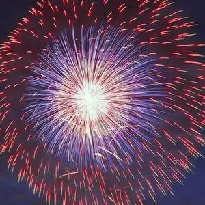 灿烂的烟花?头像