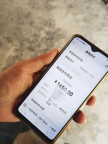 洪先生微信支付凭证