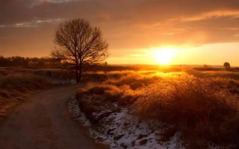 黄昏下有一种美丽叫做夕阳,风景-回车桌面