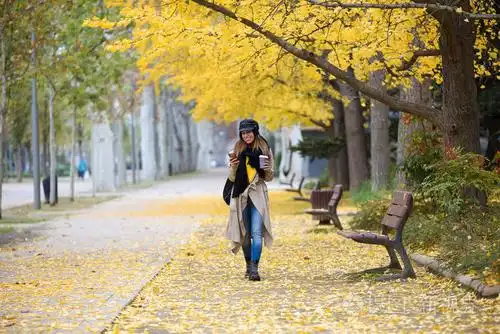 秋天在公园里散步时,一个漂亮的年轻女人用她的手机拍摄的照片.照片-