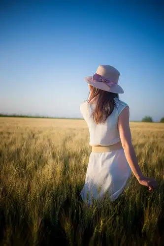 敦煌盛夏 麦田守望