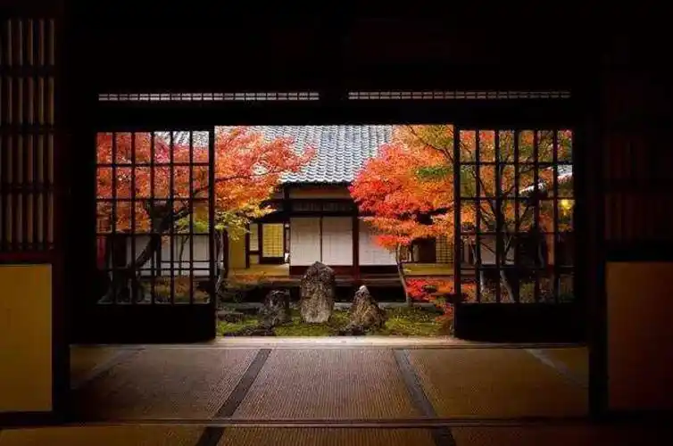 庭院- 堆糖,美图壁纸兴趣社区