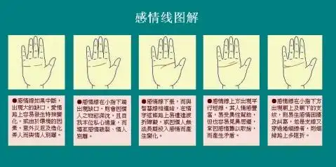 感情线图解