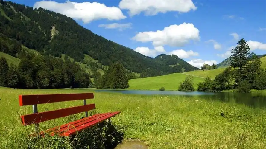 电脑桌面图片唯美(82张护眼电脑桌面壁纸)