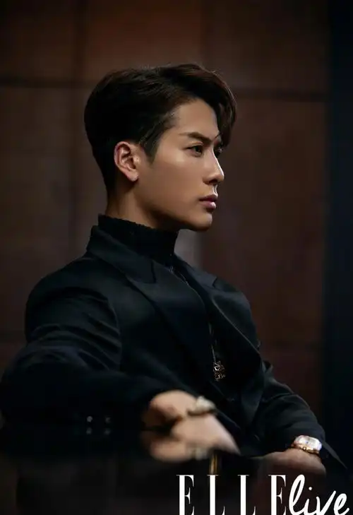 简介:王嘉尔黑西装酷帅写真图片,分享一组王嘉图片给大家,图中的明星