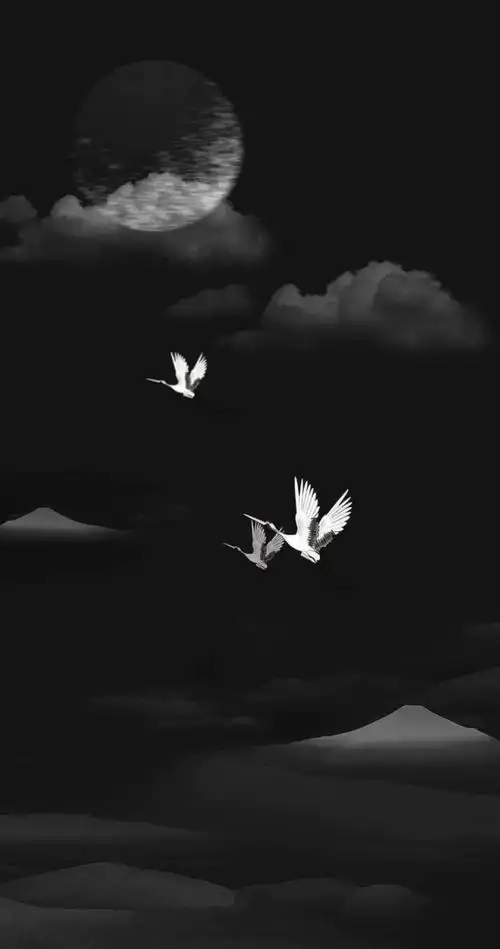 黑色系壁纸黑色主题壁纸