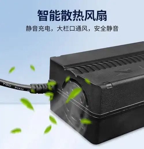 德力普电动车锂电池充电器dc口莲花卡农口36v5a48伏银鱼海霸电瓶通用