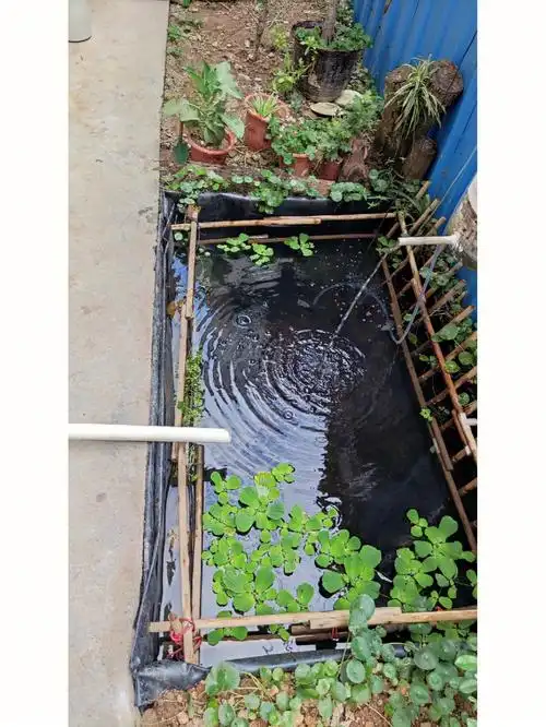 挖了一个鱼池的烦恼