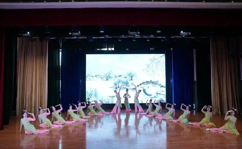 合肥经开区开展第十五届中小学文化艺术节舞蹈专项展评活动