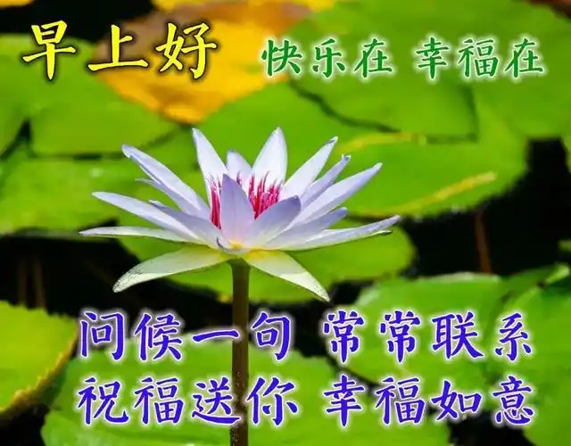 幸福暖心的早上好问候祝福语动态图片带字 最美清晨早安问候语唯美