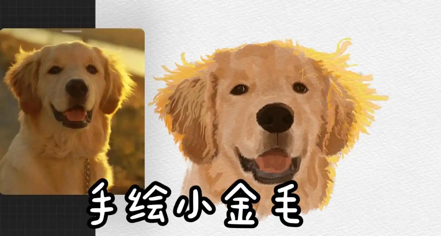 水彩风小金毛.#日常瞎画 #狗狗画法 #每日一画 - 抖音