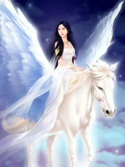 白马公主,在等到属于你的白马王子之前,不如去自己养一匹白马,让他