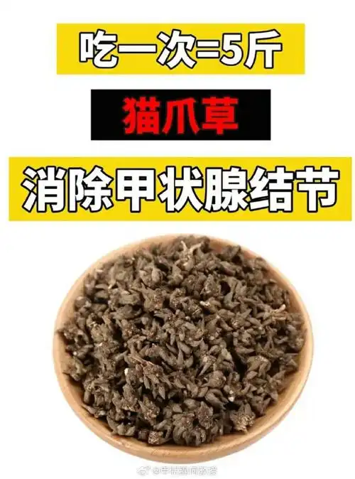 吃一次=5斤猫爪草,消除甲状腺结节猫爪草具有化痰散结,解毒消肿的功效