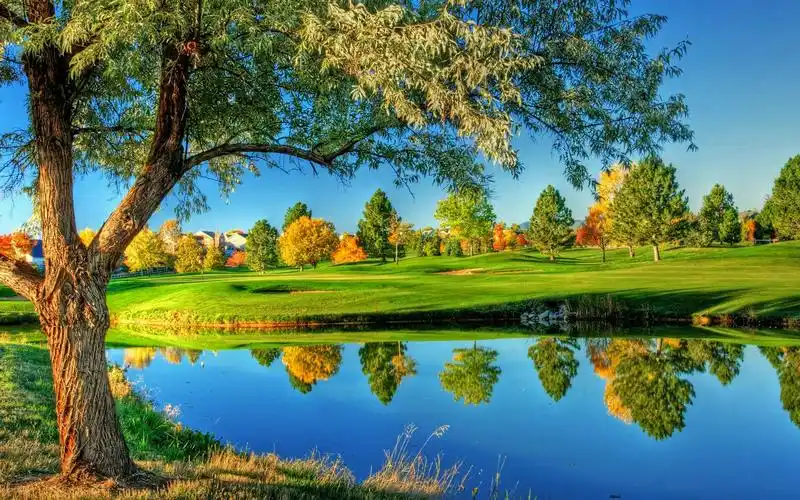 山水花草-v粉随拍-vivo智能手机v粉社区