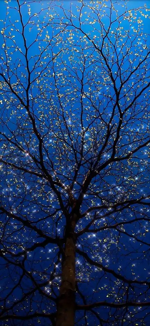 求深蓝色的壁纸