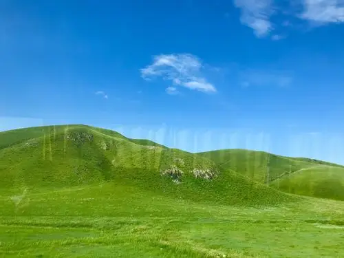 蓝天白云映着草原格外的美